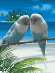 pic for Love Birds